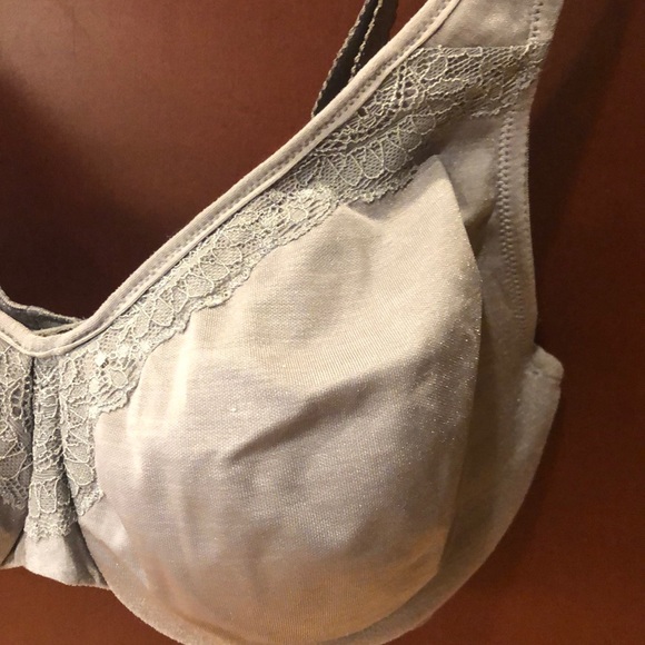 Lilyette Intimates & Sleepwear Lilyette Endless Smooth Minimizer